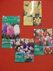 Blumenbeet 2