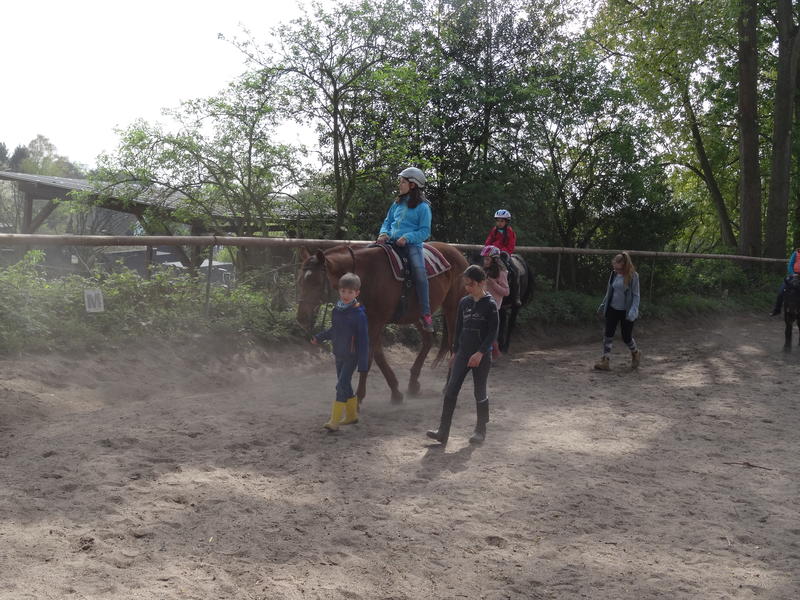  wbs_DSC09725                              
