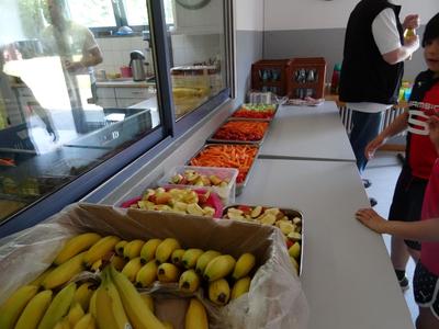 wbs_Zebras_Sportfest 5                              
