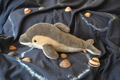 Delfinklasse