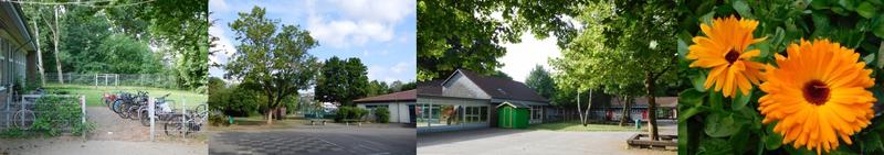 Collage Schulhof