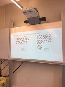 Mausklasse