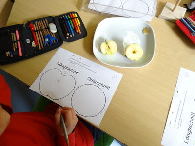 wbs_Apfelwerkstatt   1                               