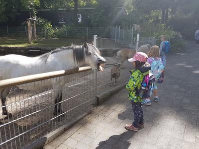 sommerferien2017_2_1