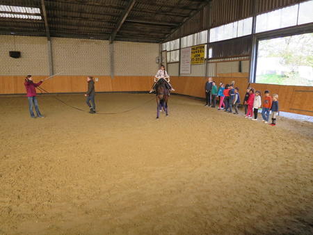 Voltegieren (2)