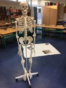 projektwoche_6