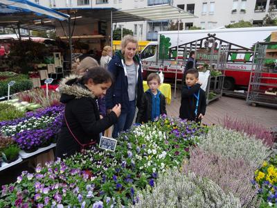 wbs_Marktbesuch Zebra 2a     2                              