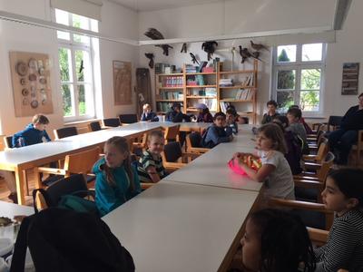 Mausklasse