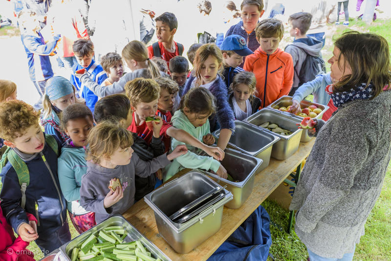 06_WBS-Sportfest-2018-7312