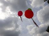 schulp_ggsschul_ballon