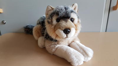 Wolfklasse