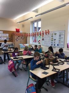 Mausklasse