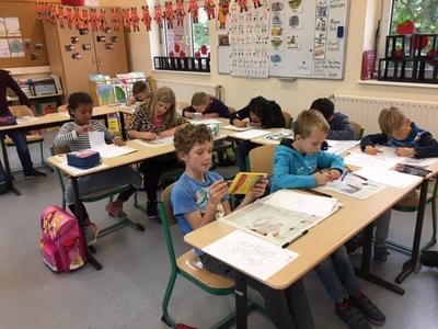 Mausklasse