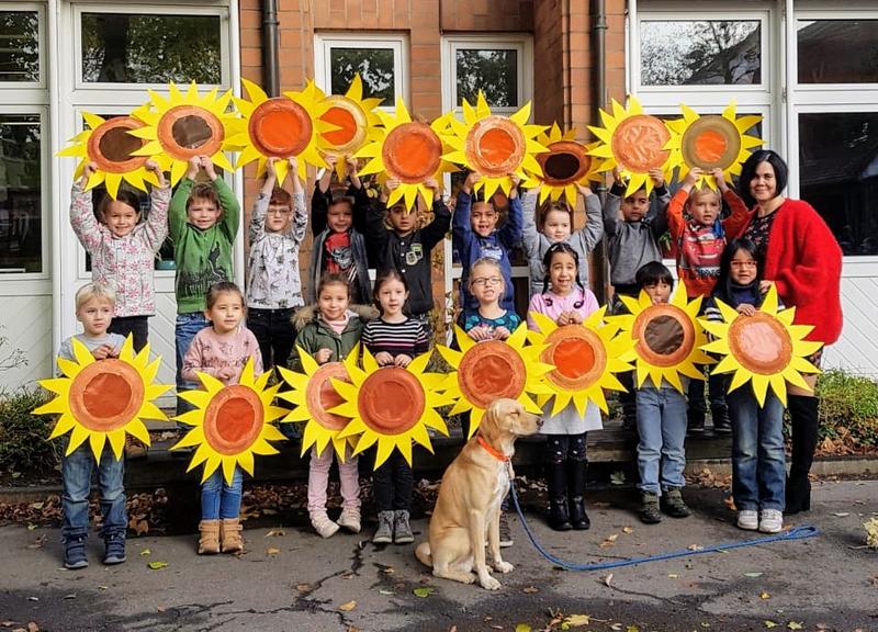 Sonnenblumenklasse