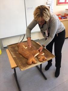 Mausklasse
