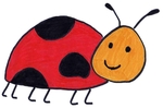 K&auml;fer