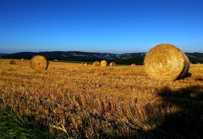 Bild vergr&ouml;&szlig;ern: Heuballen-auf-den-Hoehenlagen-im-Ennepe-Ruhr-Kreis-2-a28762129