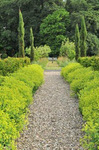 hortus_medicus