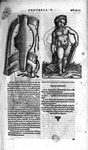 Gadebusch-Bondio