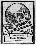 2010-11-25 Anatomie