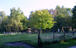 Kinderspielplatz - Am Sandberg