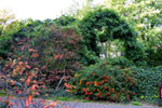 Hildener Stadtpark - Herbst