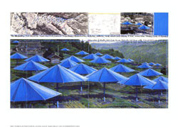 Foto zur Ausstellung - Umbrellas - Nr. 2