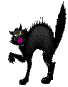 Kater