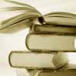 B&uuml;cherstapel