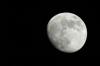 Mond