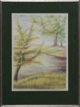 Niederrheinische Landschaft