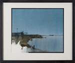 Uferlandschaft