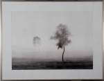 Nebel