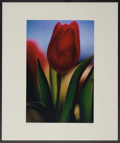 Ohne Titel