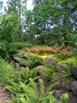 Garten1