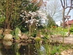 Garten2