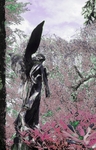 Ausstellung Nitsch Dia