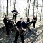 Cajun Roosters Pressefoto