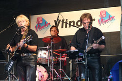 vlinder_band