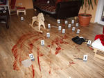 2013-01-24-leiche_1